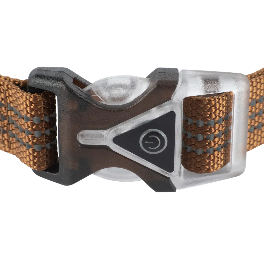 Carhartt LIGHTED DOG Collar